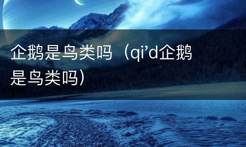 企鹅是鸟类吗（qi'd企鹅是鸟类吗）