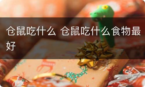 仓鼠吃什么 仓鼠吃什么食物最好