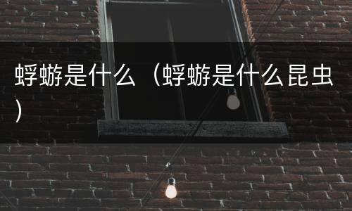 蜉蝣是什么（蜉蝣是什么昆虫）