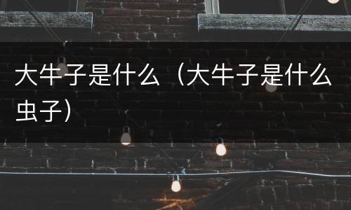大牛子是什么（大牛子是什么虫子）