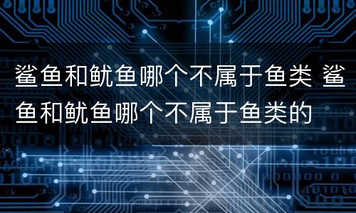 鲨鱼和鱿鱼哪个不属于鱼类 鲨鱼和鱿鱼哪个不属于鱼类的