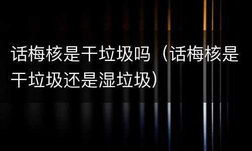 话梅核是干垃圾吗（话梅核是干垃圾还是湿垃圾）