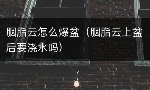 胭脂云怎么爆盆（胭脂云上盆后要浇水吗）