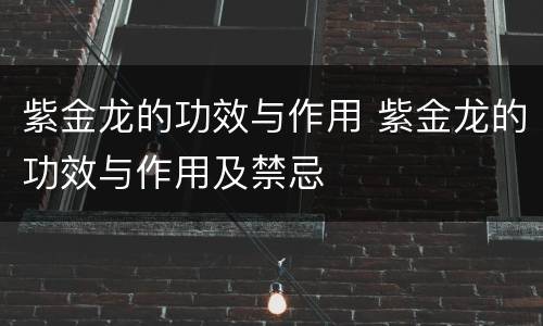 紫金龙的功效与作用 紫金龙的功效与作用及禁忌
