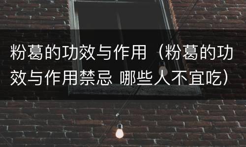 粉葛的功效与作用（粉葛的功效与作用禁忌 哪些人不宜吃）
