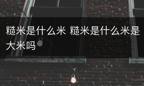 糙米是什么米 糙米是什么米是大米吗