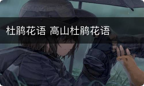 杜鹃花语 高山杜鹃花语