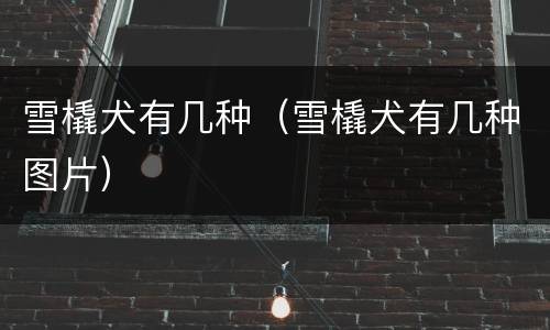 雪橇犬有几种（雪橇犬有几种图片）