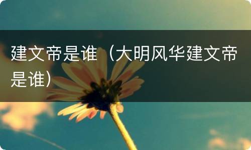 建文帝是谁（大明风华建文帝是谁）