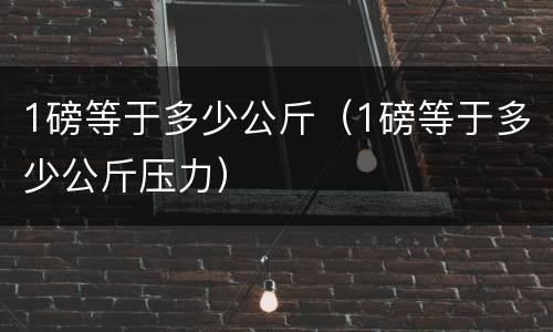 1磅等于多少公斤（1磅等于多少公斤压力）