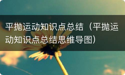 平抛运动知识点总结（平抛运动知识点总结思维导图）