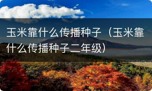 玉米靠什么传播种子（玉米靠什么传播种子二年级）