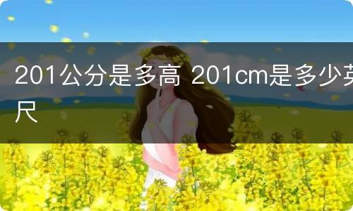201公分是多高 201cm是多少英尺