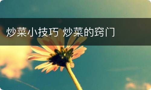 炒菜小技巧 炒菜的窍门