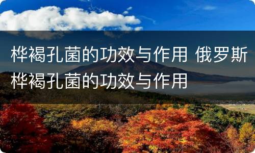 桦褐孔菌的功效与作用 俄罗斯桦褐孔菌的功效与作用