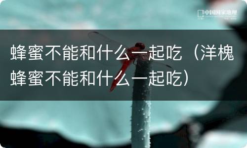 蜂蜜不能和什么一起吃（洋槐蜂蜜不能和什么一起吃）