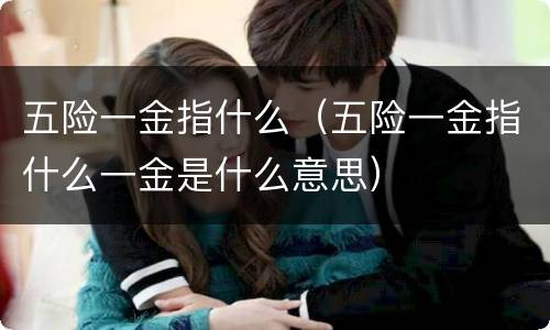 五险一金指什么（五险一金指什么一金是什么意思）