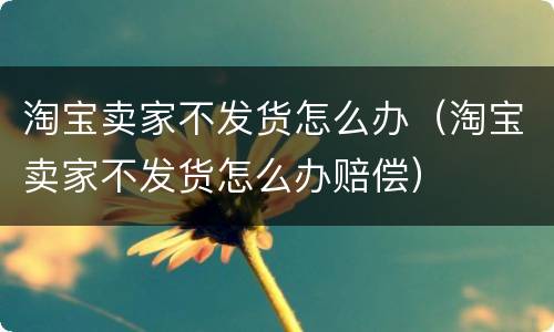 淘宝卖家不发货怎么办（淘宝卖家不发货怎么办赔偿）