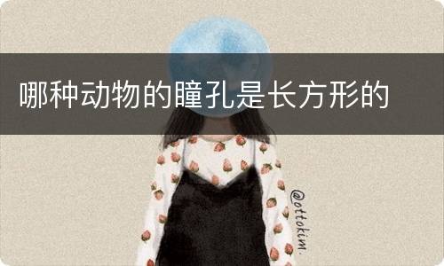 哪种动物的瞳孔是长方形的