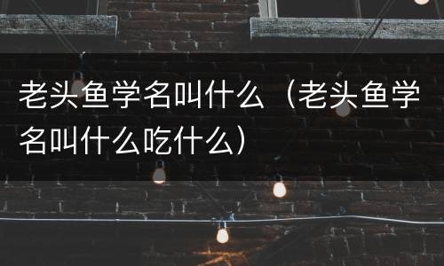 老头鱼学名叫什么（老头鱼学名叫什么吃什么）