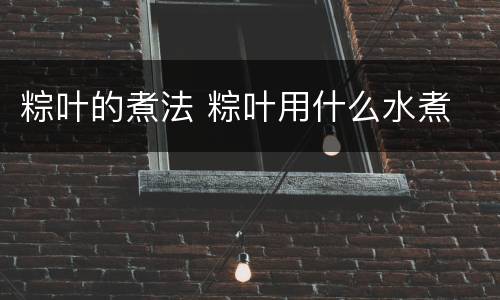 粽叶的煮法 粽叶用什么水煮