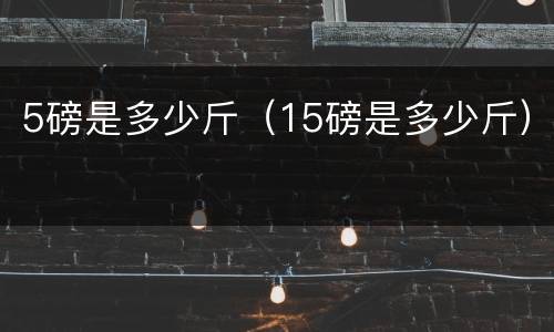 5磅是多少斤（15磅是多少斤）