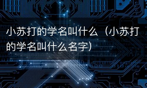 小苏打的学名叫什么（小苏打的学名叫什么名字）