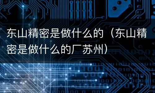 东山精密是做什么的（东山精密是做什么的厂苏州）
