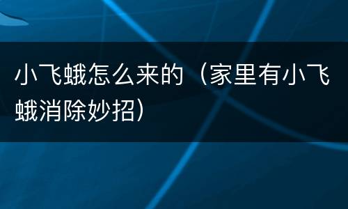 小飞蛾怎么来的（家里有小飞蛾消除妙招）