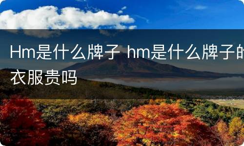 Hm是什么牌子 hm是什么牌子的衣服贵吗