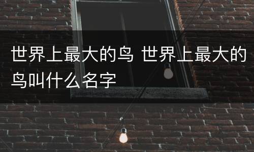 世界上最大的鸟 世界上最大的鸟叫什么名字