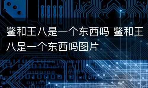 鳖和王八是一个东西吗 鳖和王八是一个东西吗图片