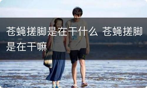 苍蝇搓脚是在干什么 苍蝇搓脚是在干嘛