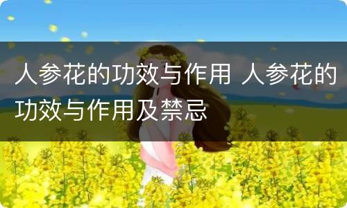 人参花的功效与作用 人参花的功效与作用及禁忌
