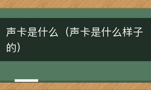 声卡是什么（声卡是什么样子的）