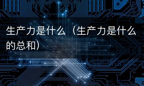 生产力是什么（生产力是什么的总和）