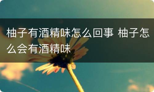 柚子有酒精味怎么回事 柚子怎么会有酒精味