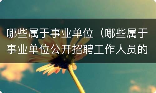 哪些属于事业单位（哪些属于事业单位公开招聘工作人员的程序）