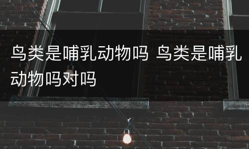 鸟类是哺乳动物吗 鸟类是哺乳动物吗对吗