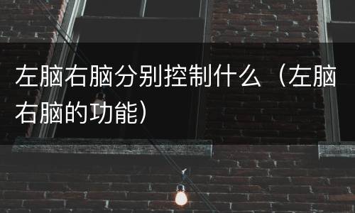 左脑右脑分别控制什么（左脑右脑的功能）
