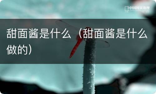 甜面酱是什么（甜面酱是什么做的）
