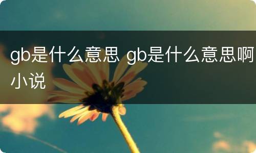 gb是什么意思 gb是什么意思啊小说
