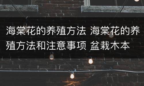 海棠花的养殖方法 海棠花的养殖方法和注意事项 盆栽木本