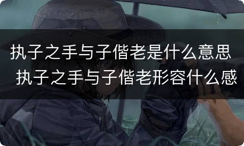 执子之手与子偕老是什么意思 执子之手与子偕老形容什么感情