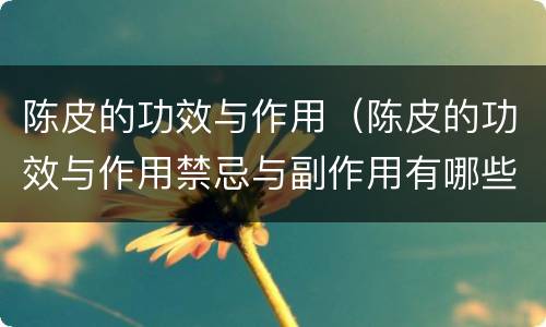 陈皮的功效与作用（陈皮的功效与作用禁忌与副作用有哪些）
