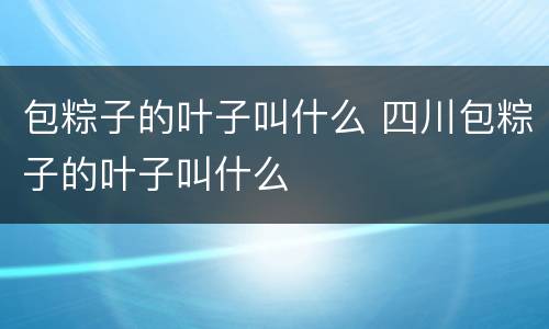 包粽子的叶子叫什么 四川包粽子的叶子叫什么