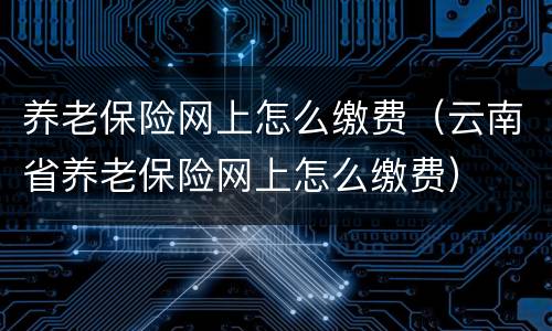 养老保险网上怎么缴费（云南省养老保险网上怎么缴费）