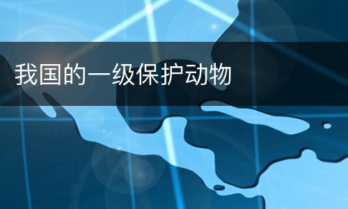 我国的一级保护动物