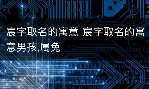 宸字取名的寓意 宸字取名的寓意男孩,属兔