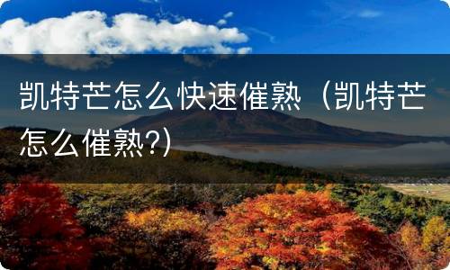 凯特芒怎么快速催熟（凯特芒怎么催熟?）